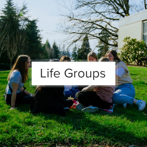 Life Groups Page